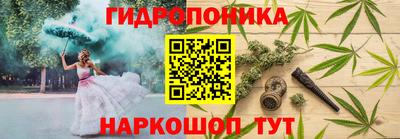 трава Кандалакша